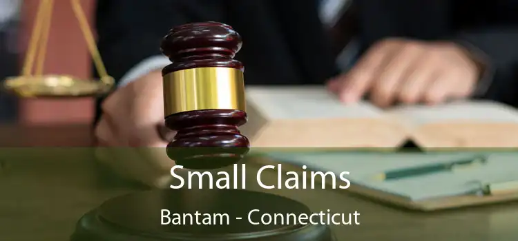 Small Claims Bantam - Connecticut